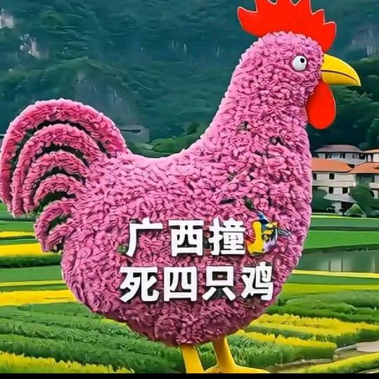 龙圩仔