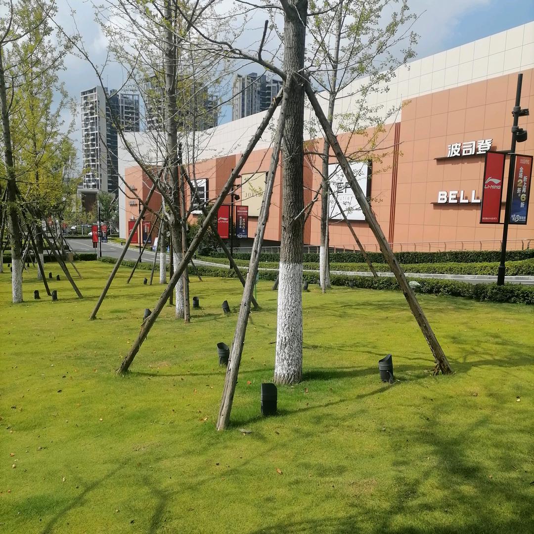 熊大