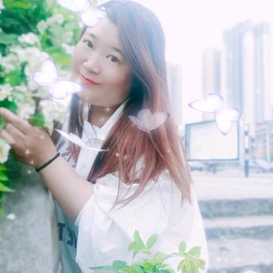 小刘芬