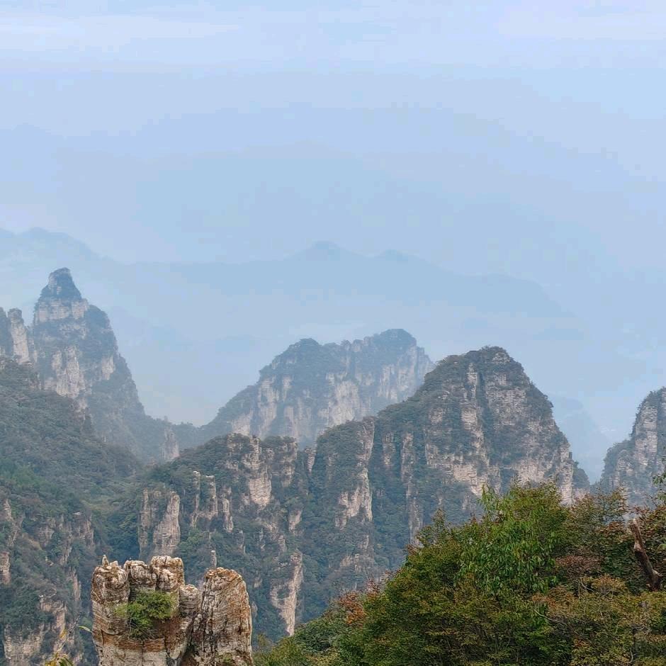 北淼家庭农场