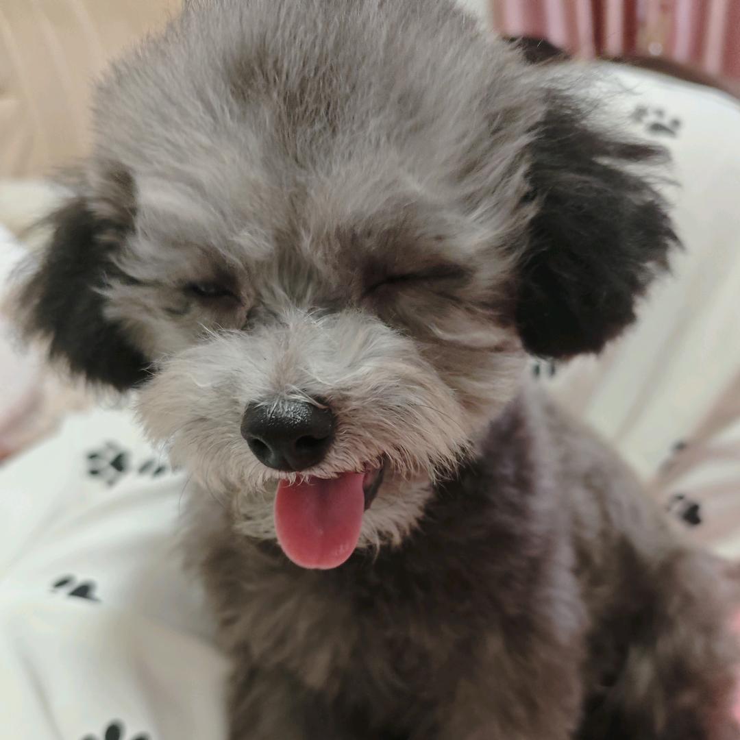 ༊ღ᭄杨家ꦿ꯭菇凉꧔ꦿ᭄💞