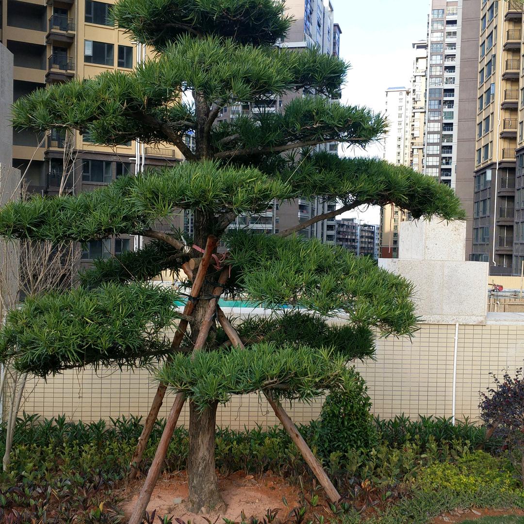 李工