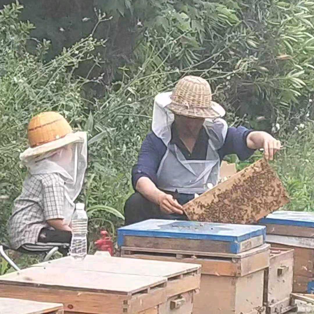 蜜蜂大哥（七个孩子爸爸）