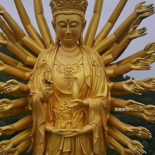 专业葡萄种植