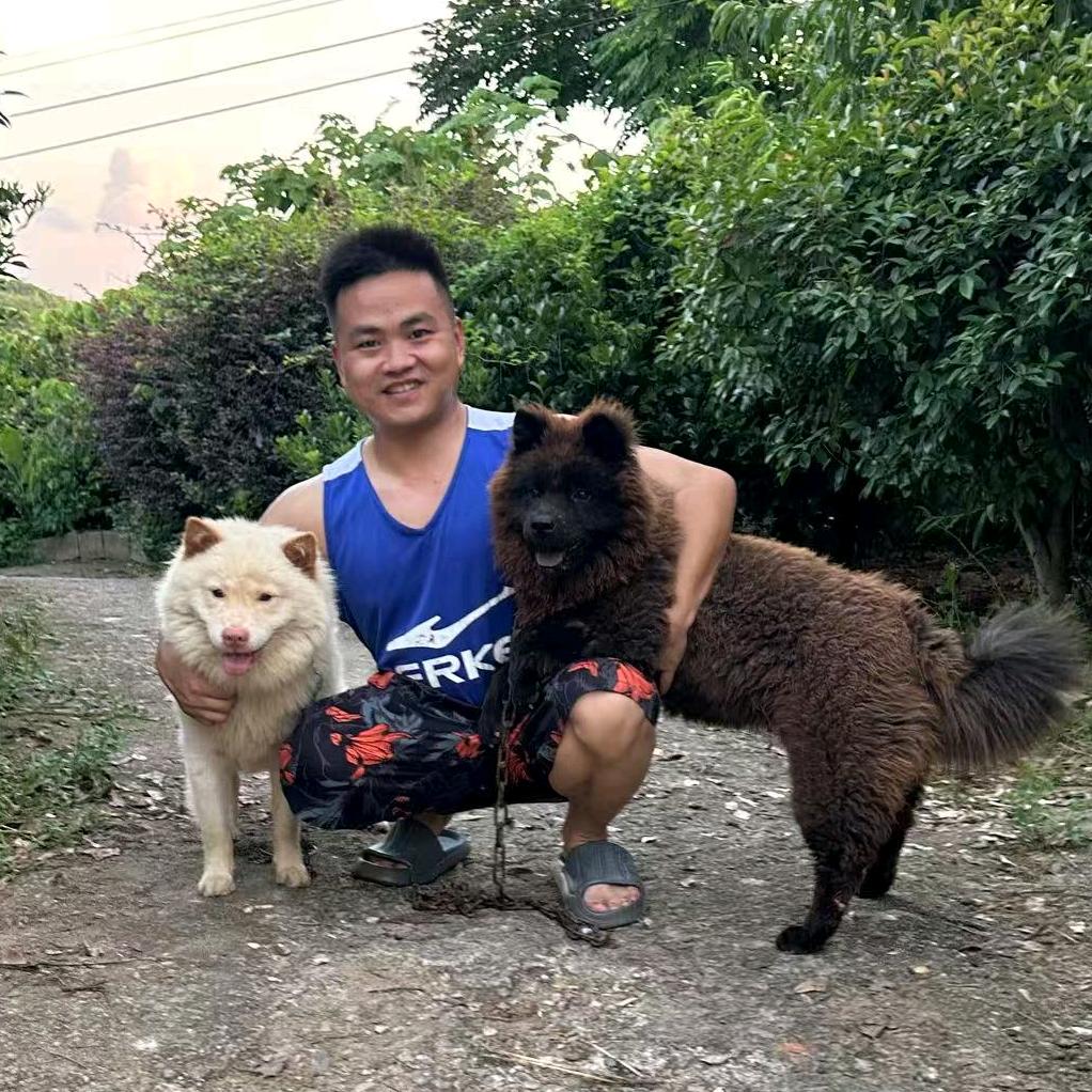 长沙土松犬基地