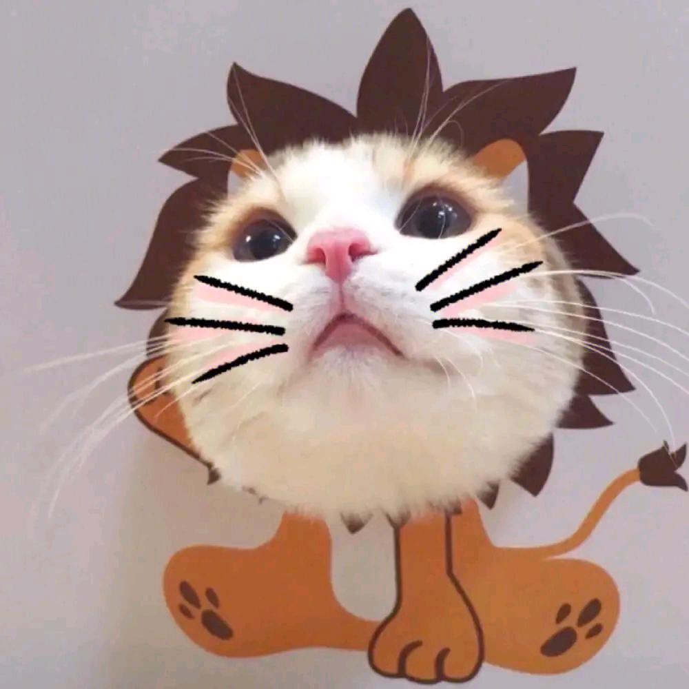 左岸2