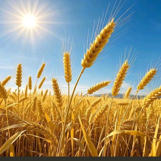 ᭄ℯ⃝財满💰兜ঞৣঁ