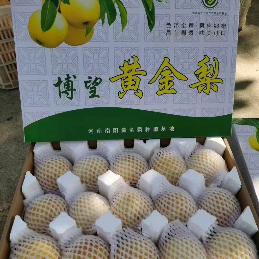 博望黄金梨