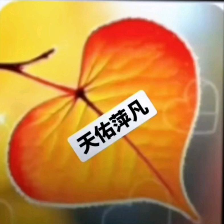 梦皎月