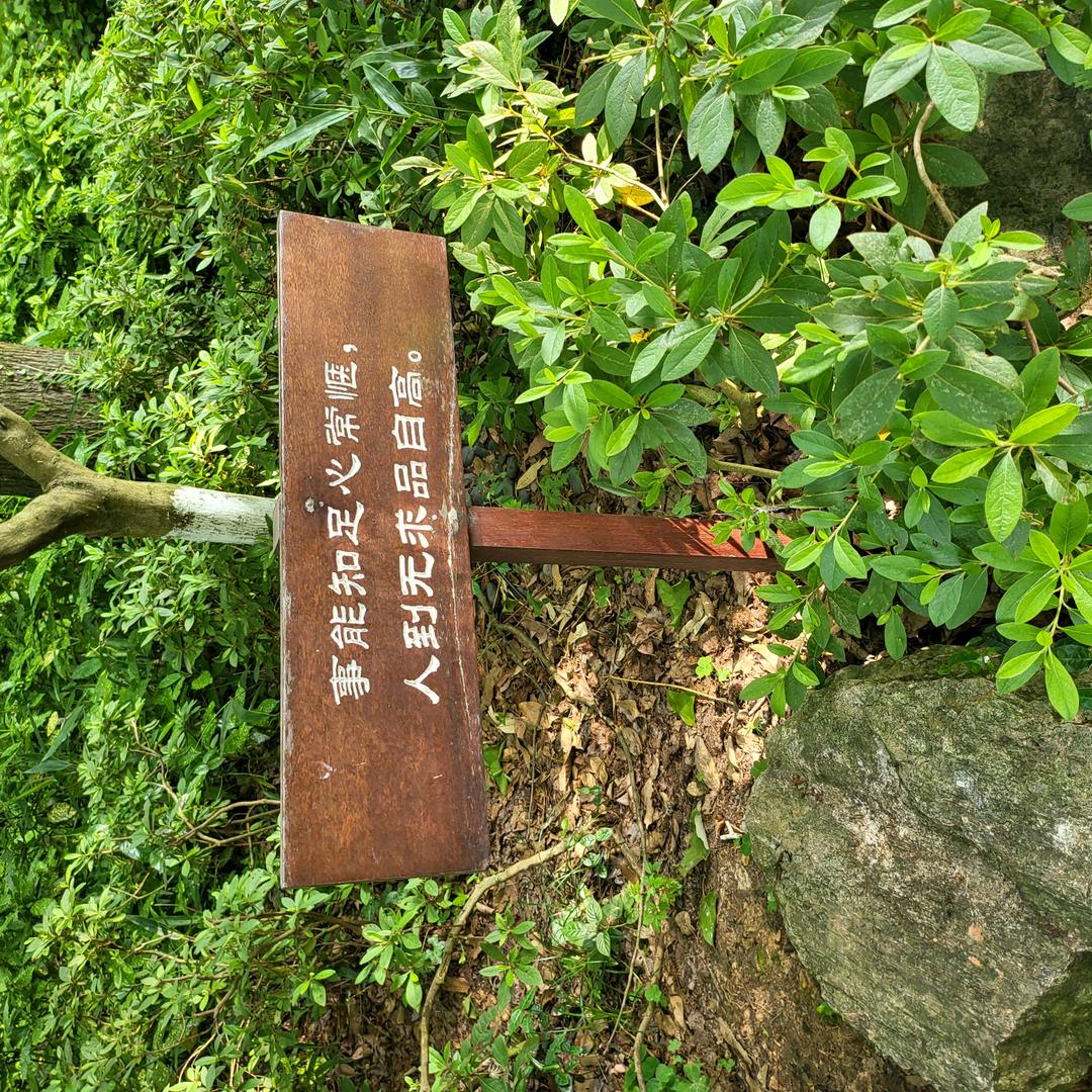 爱吃豆包…