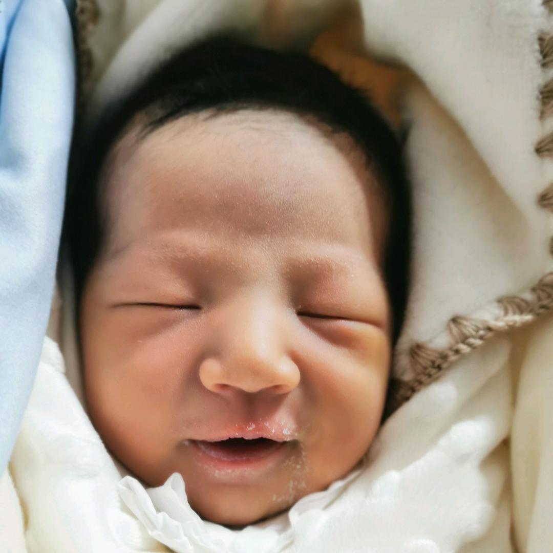 糯米团子🍡团团