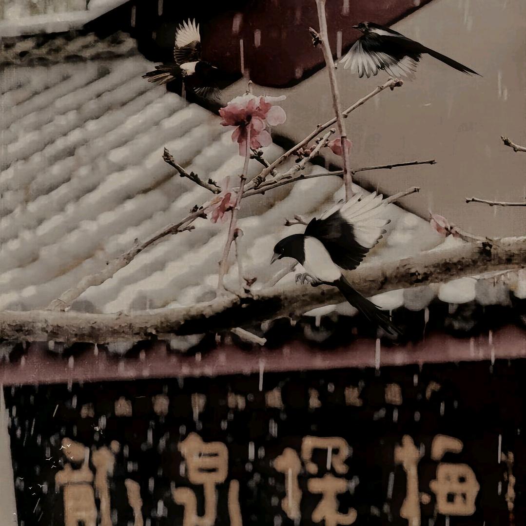 心比明月