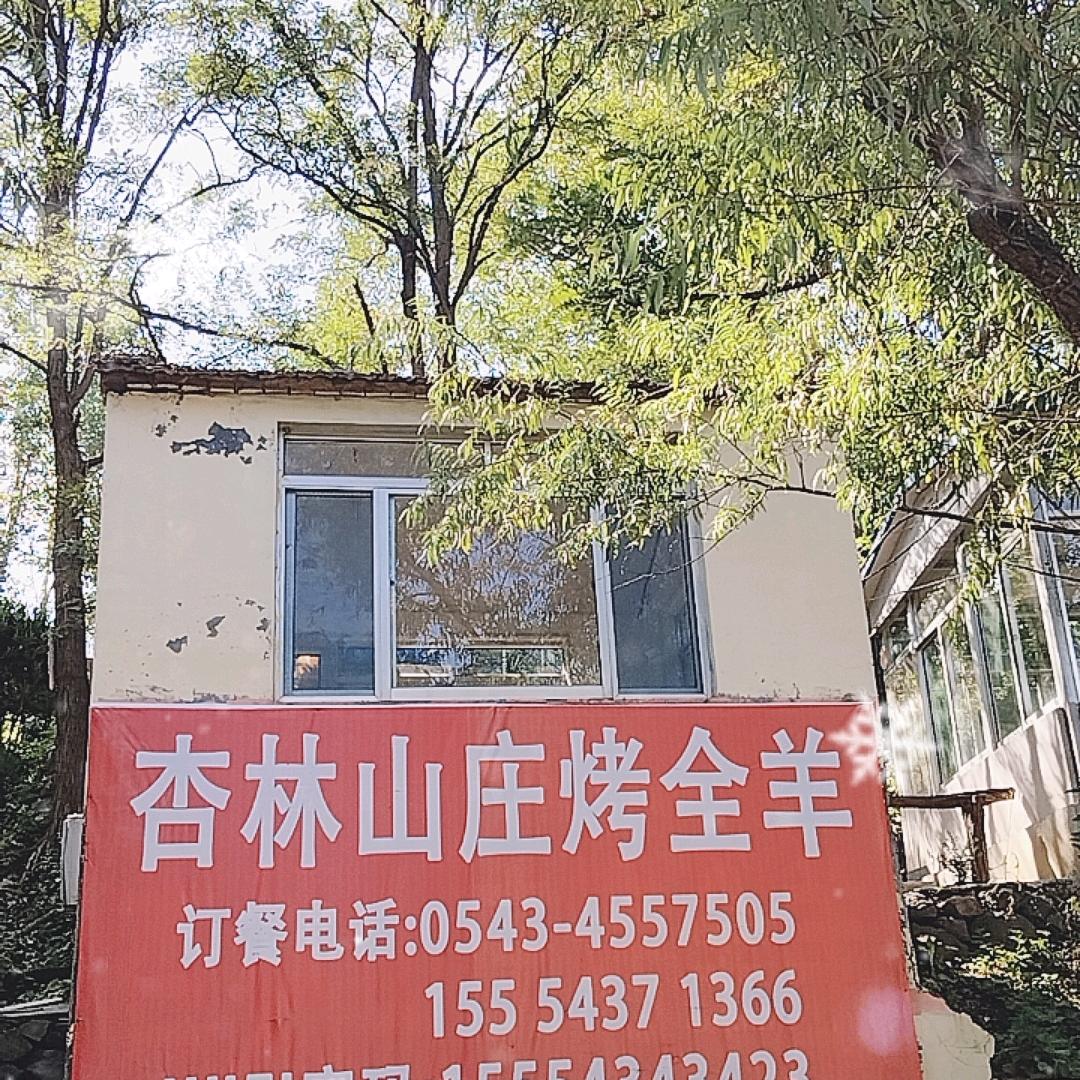 白云山杏林山庄