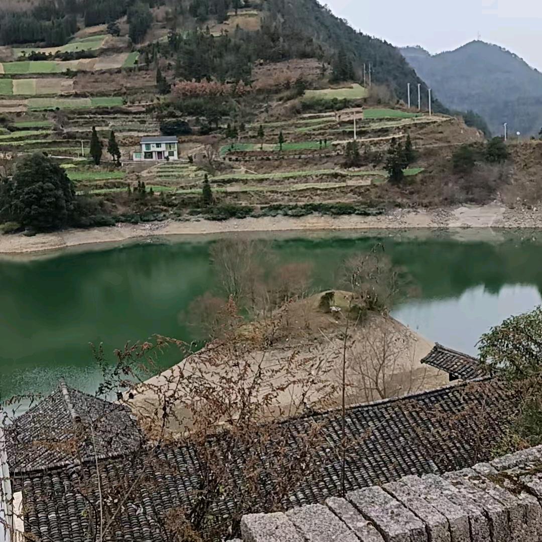 王单身