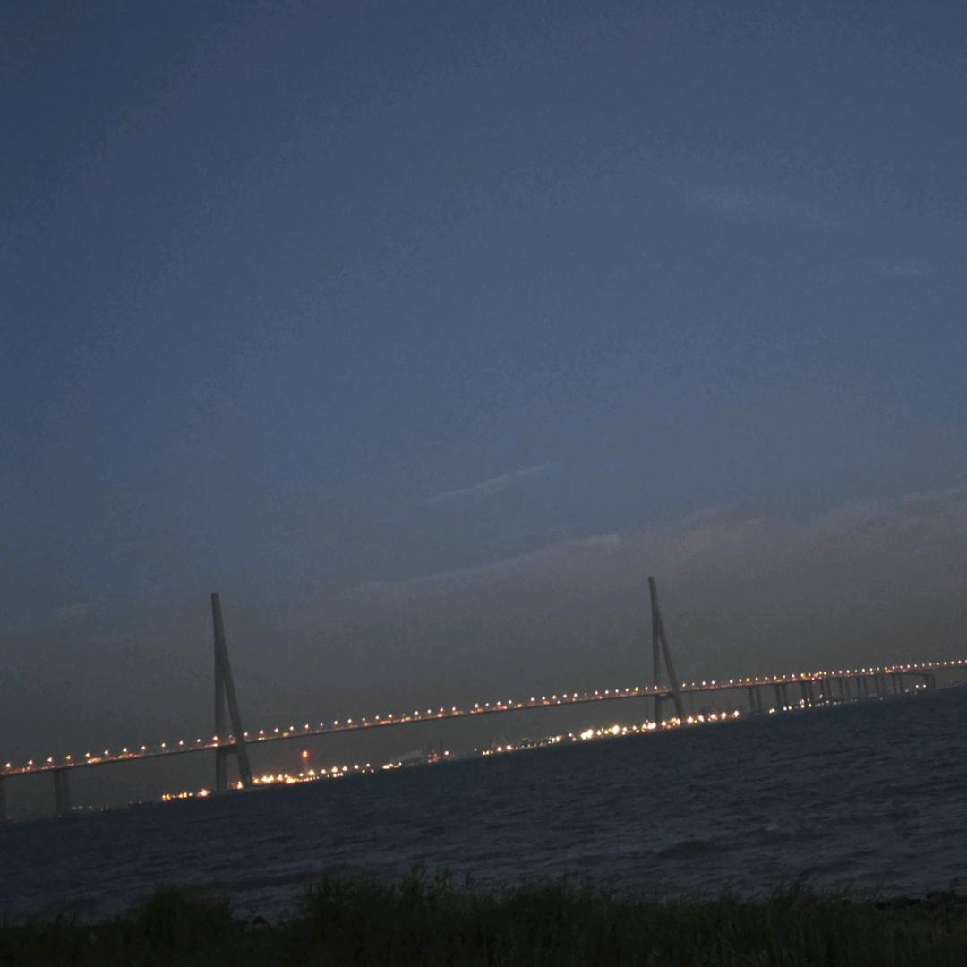 （                  ）