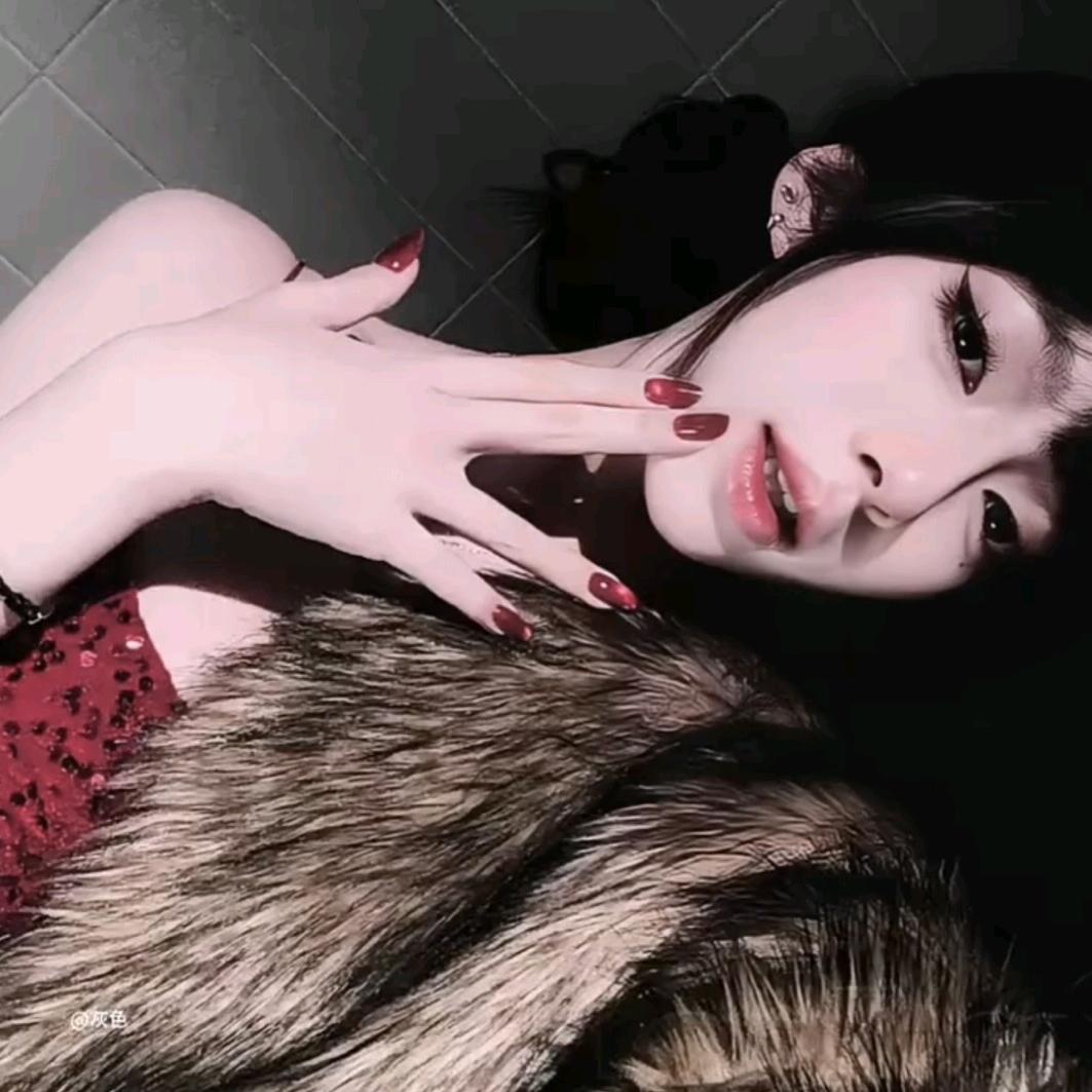 特猫Tou