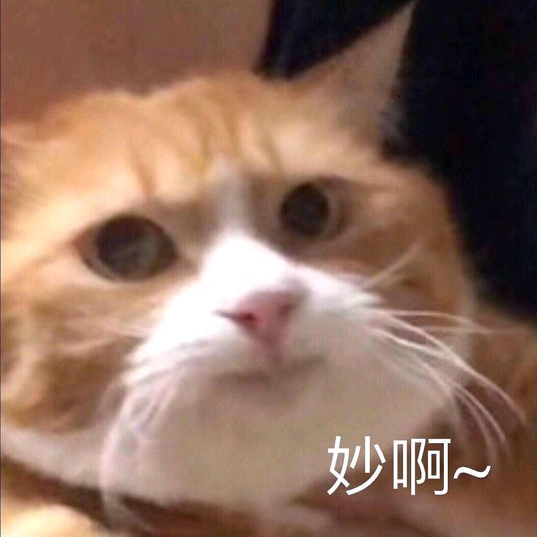 汤姆147