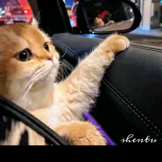 爱搓烧烤小啤酒（跑步版）