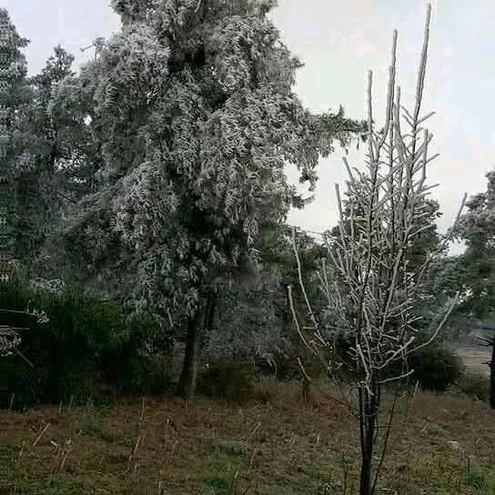 孤身背影