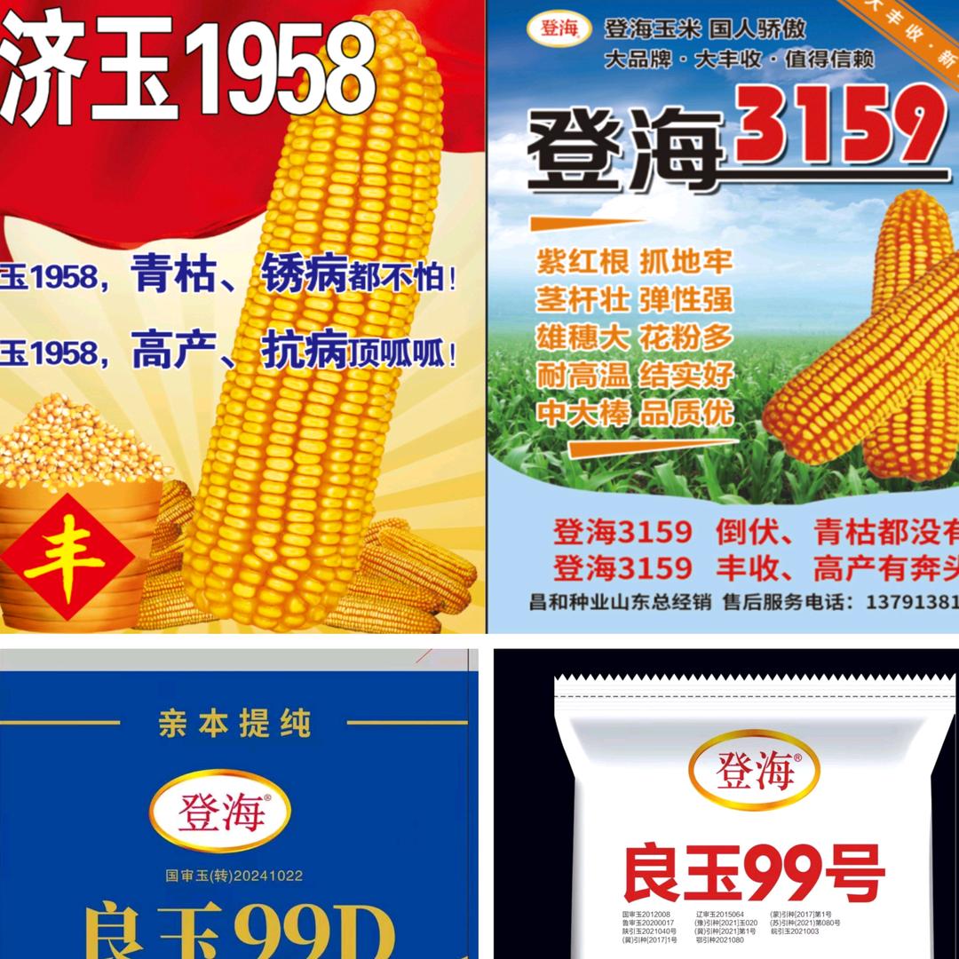 昌和种业