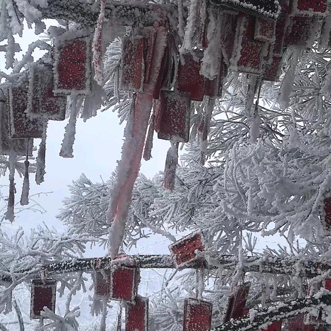 心有❤️凌犀❤️