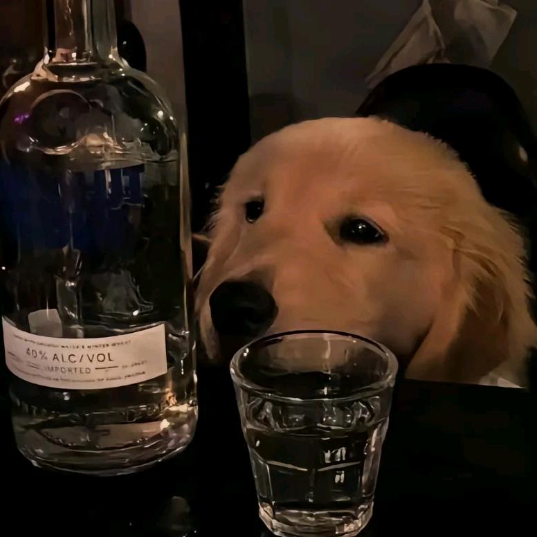 CFM（00后宝爸勇闯互联网）