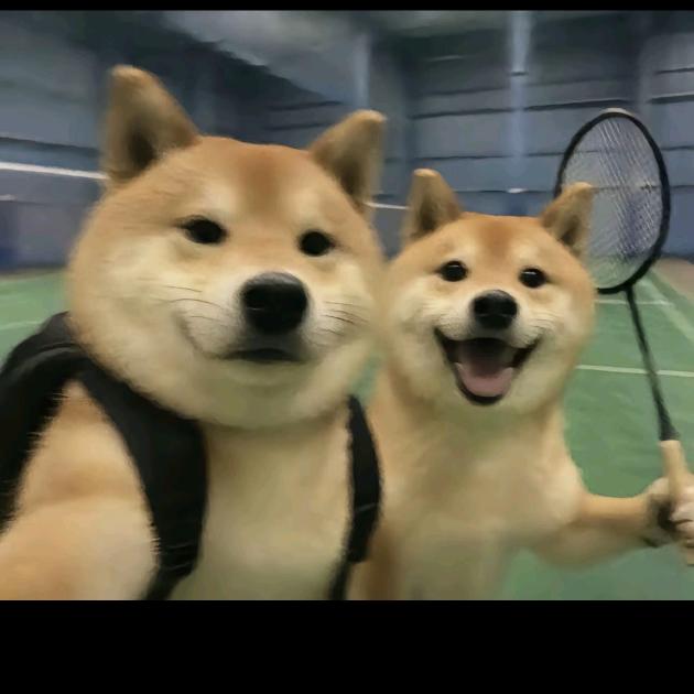 3737