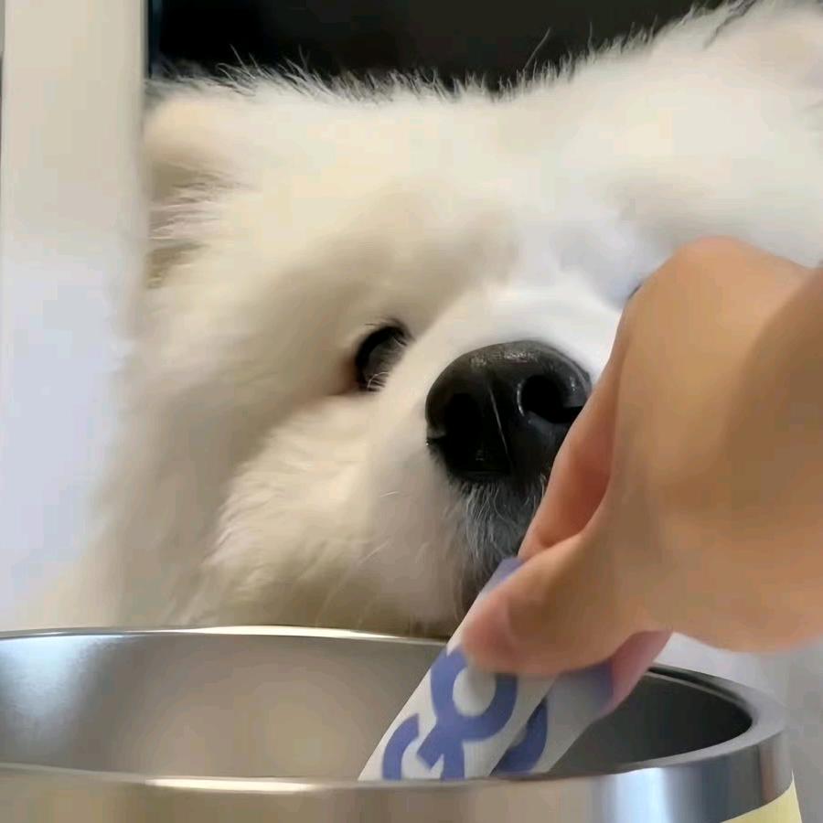 发财~头像