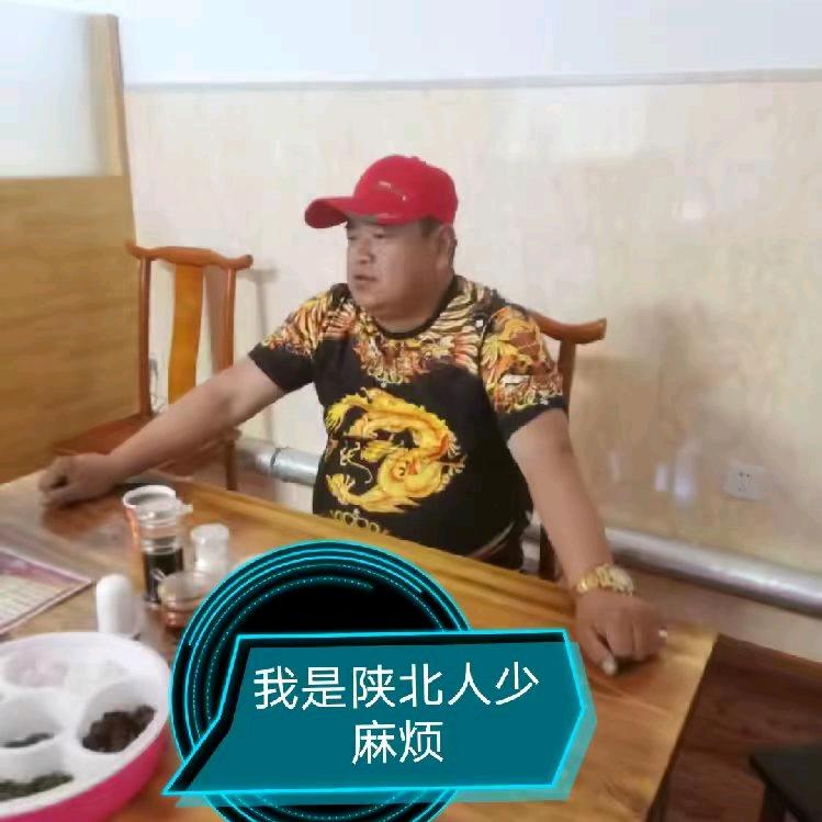 紫薇花仿石漆