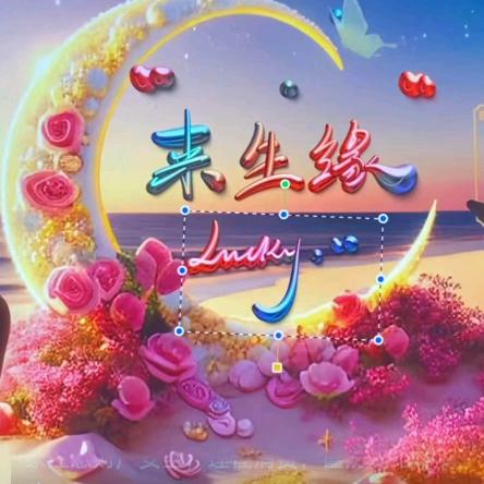 愿大家开开心心过好每一天