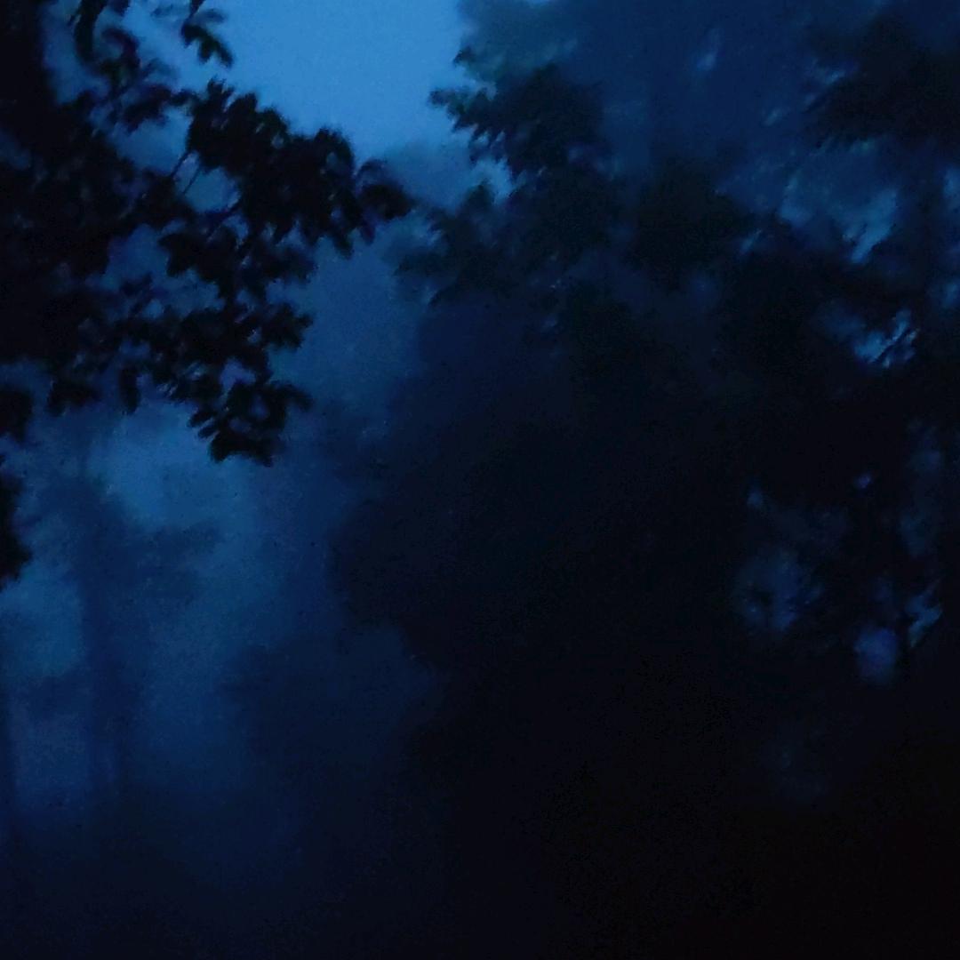 噜啦噜啦嘞嘿嘿