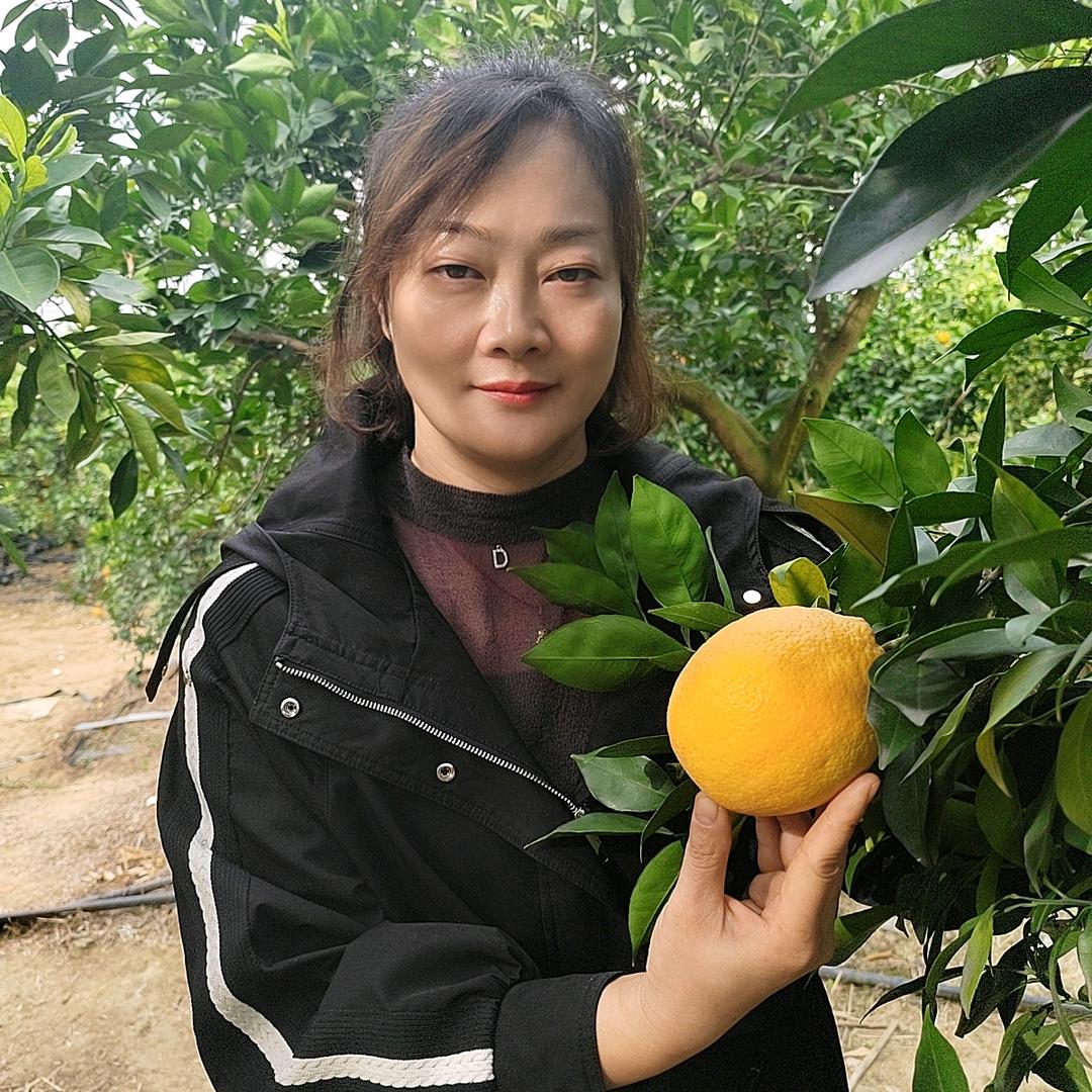 来自阳光花城的特产水果