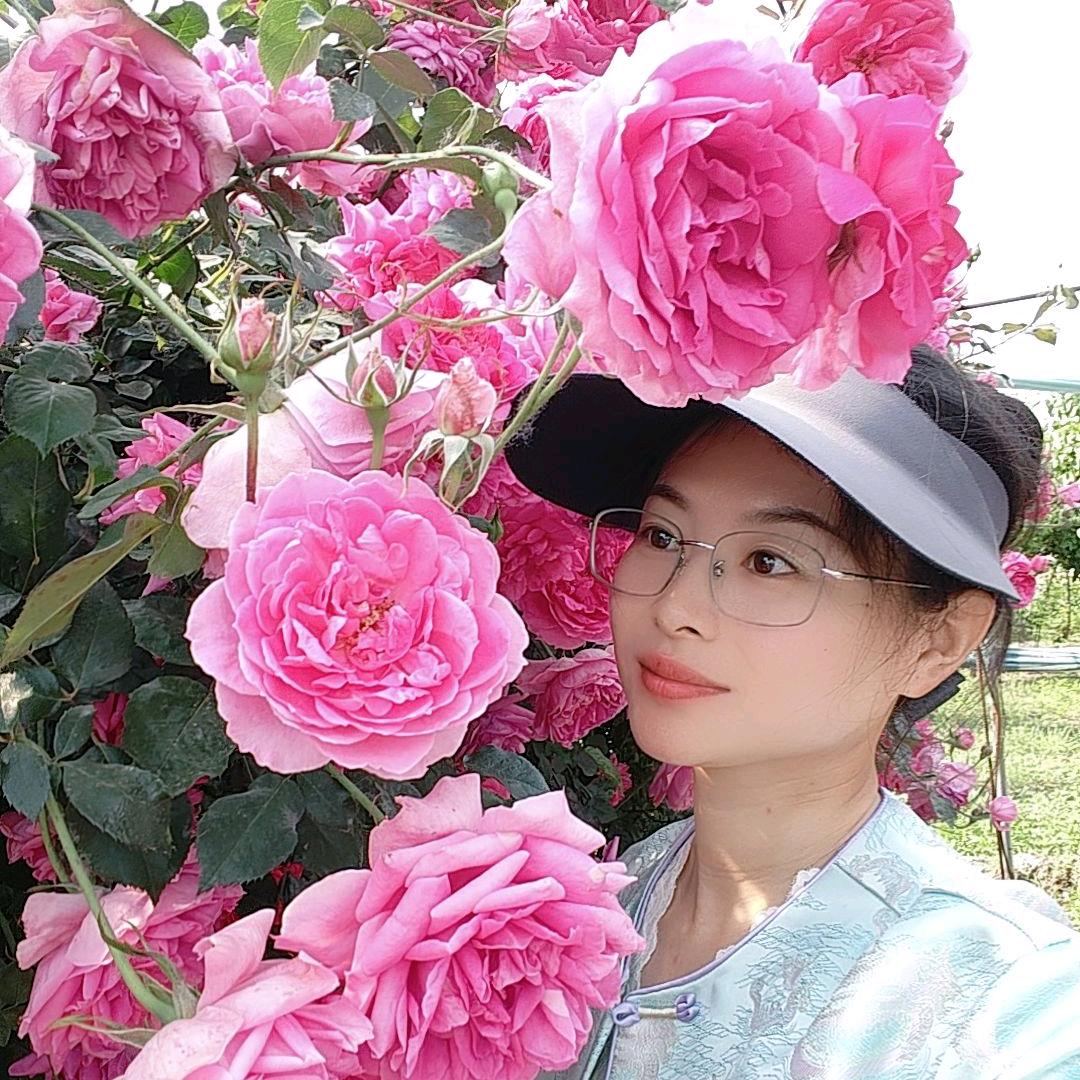 圣木源·月季园～小满🌹