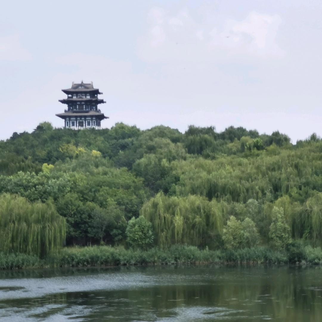 玉杰