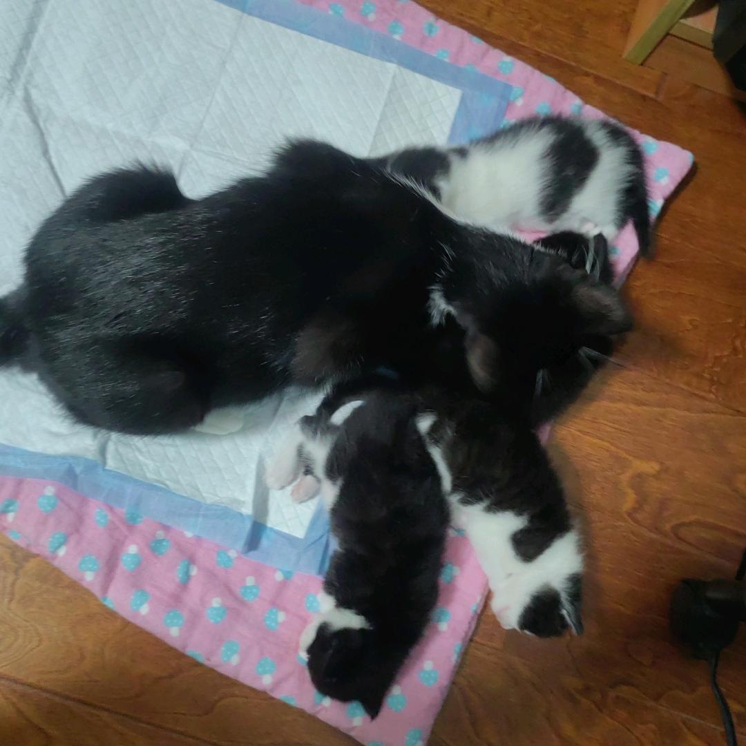 洛阳轴承国标螺丝