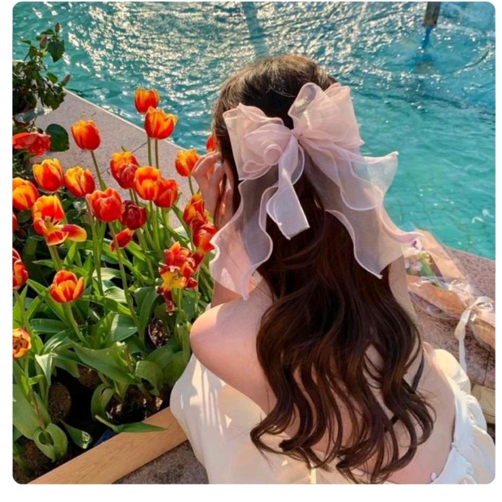 锦儿💞