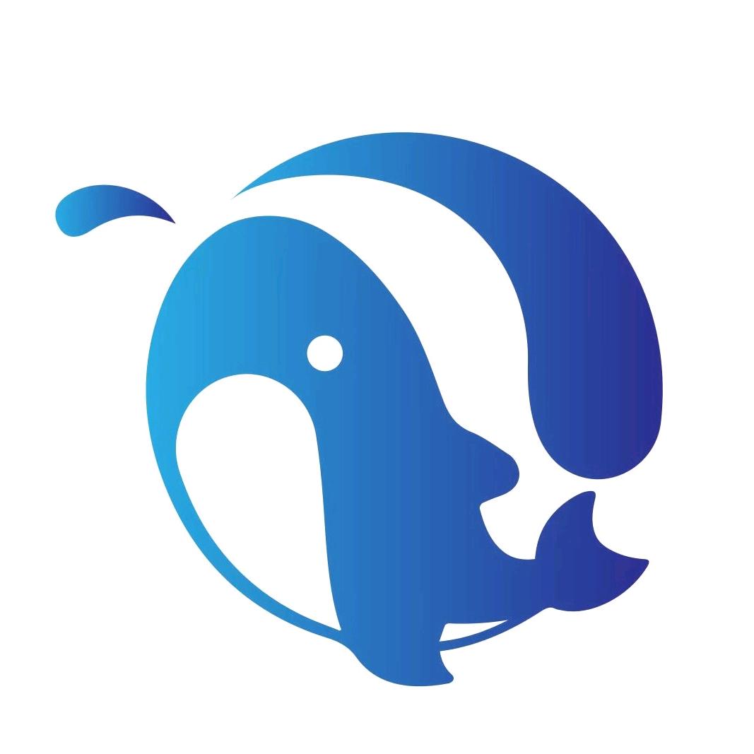 星耀乾元-助残就业🌻