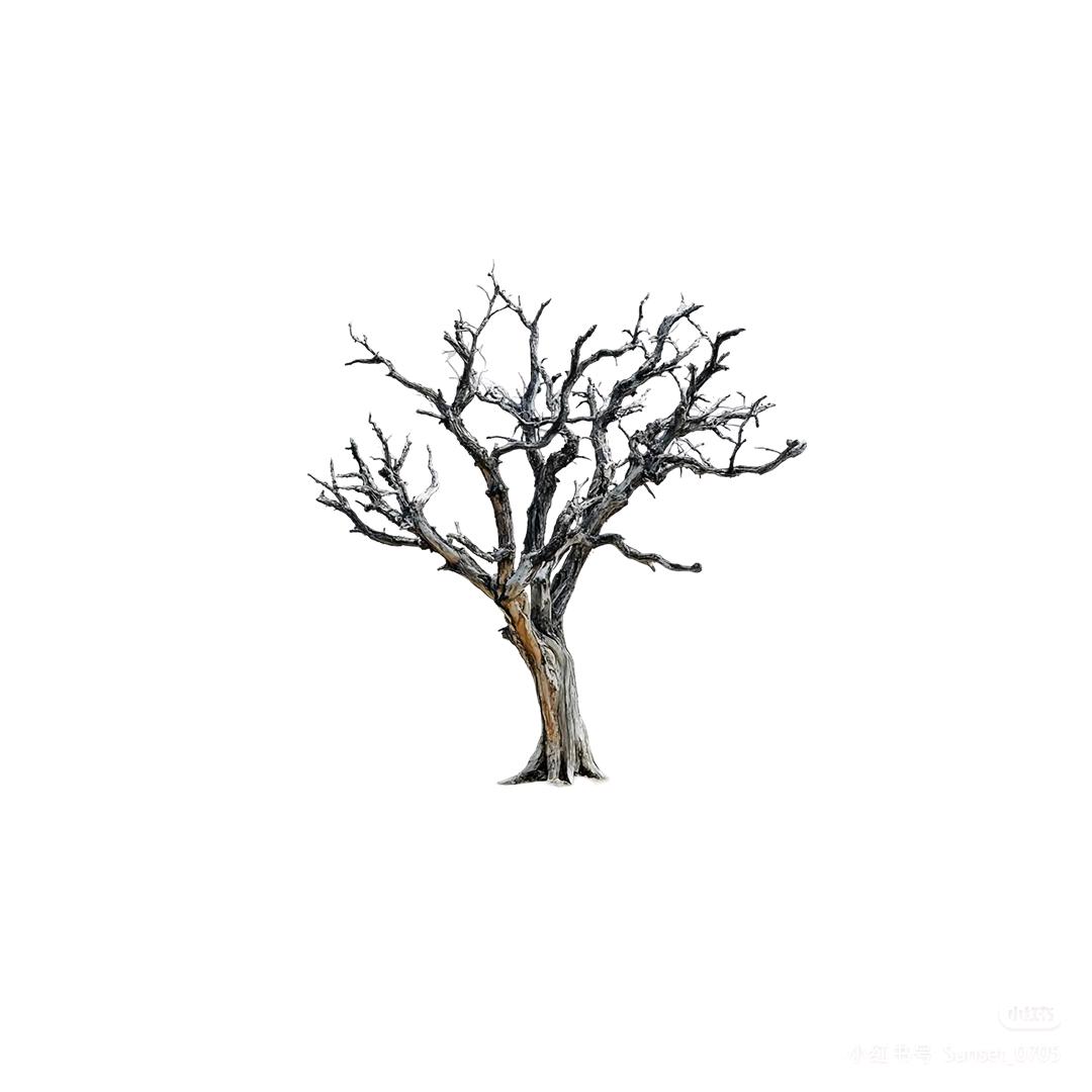 @許～十一