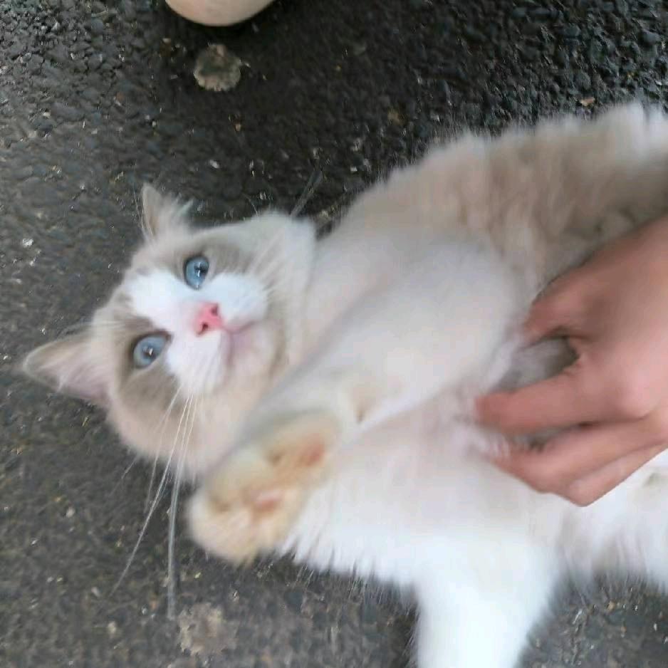 童话