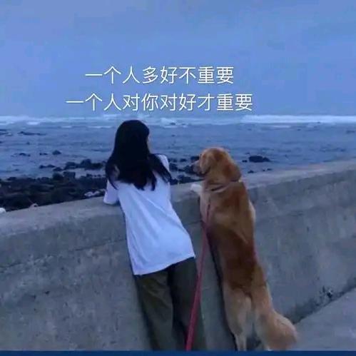 冬