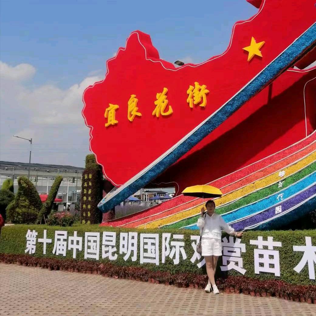 红玫瑰