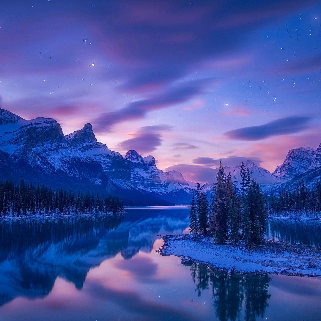 哦会i你给直播号