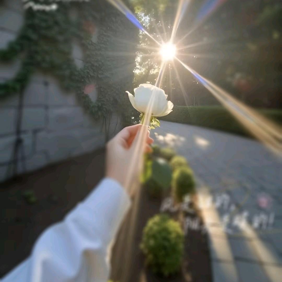 🥀别碰⍤⃝🎀我心ℳ❥