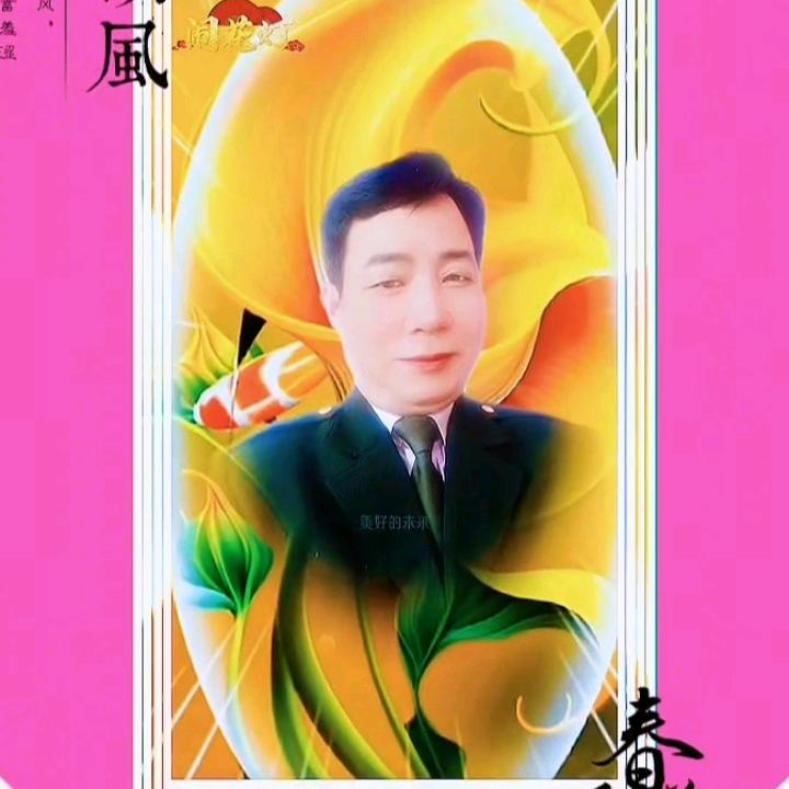 友金视频分享