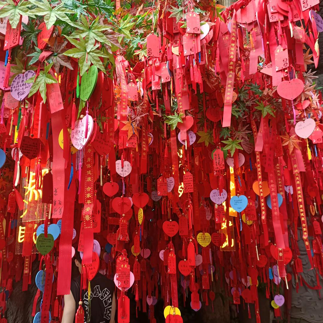 无忧草
