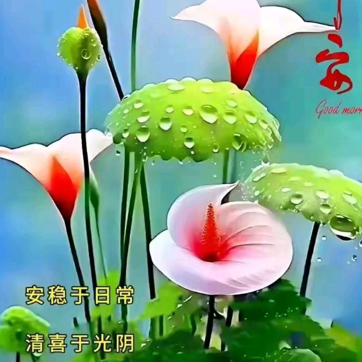 淡定.