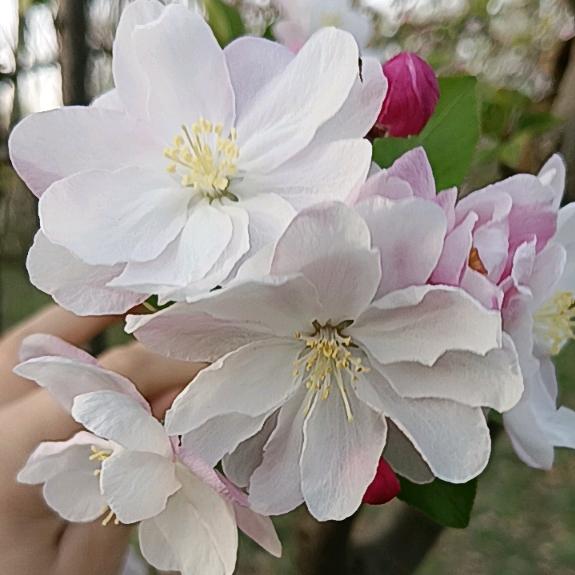 爱笑的人运气不会❎️