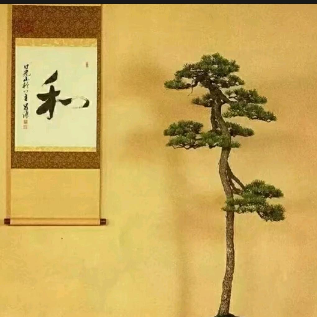 艺术人生--《艺松缘》