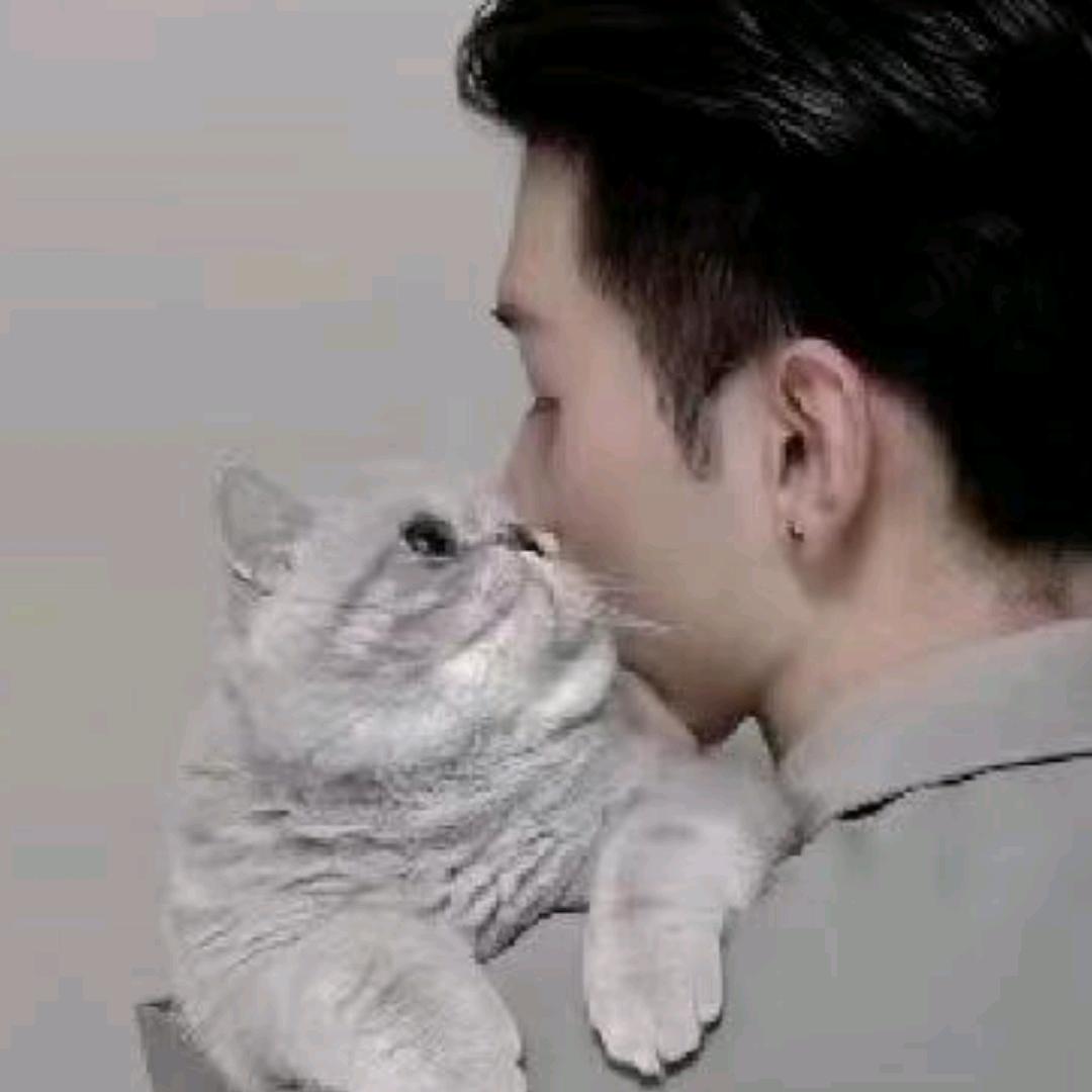 老 四