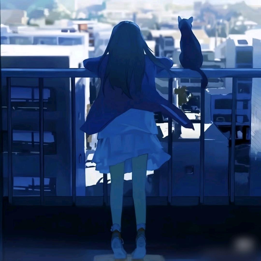 你有猫吗✨
